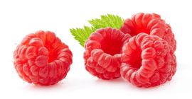 Hola, somos un productor de frambuesas de postre de