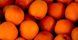 Uno de los principales productores de albaricoques, cerezas, melocotones,