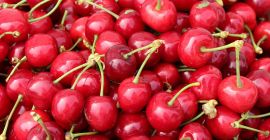 Uno de los principales productores de cerezas, melocotones, kiwi,