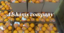Ofrecemos naranja fresca con las siguientes especificaciones: Naranja Navel: