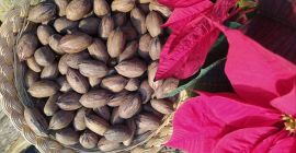 Las pecanas son un alimento que se presta para