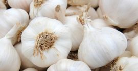 Me gustaría comprar ajo blanco, tal vez ajo español.
