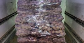 Tengo a la venta 440 bolsas de bellaroza a