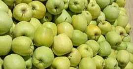 Estableceré una cooperación con el destinatario de las manzanas