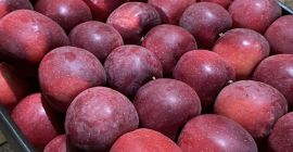 Estamos vendiendo manzanas en toda Europa. El precio es