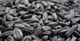 Semillas de girasol negras. Hecho en Ucrania, la ciudad