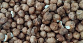 Avellanas sin cáscara Eko 10,23 €/1 kg.
