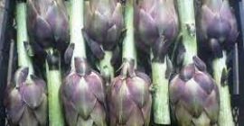 alcachofa egipcia por 4000 libras por tonelada también puede