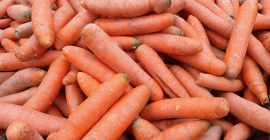 Venderé zanahorias &quot;od kind&quot; para alimentación animal. Forraje sano