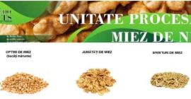 La unidad de procesamiento de nuez de nuez le