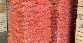 La cebolla está en stock en Alemania. Unas 1000