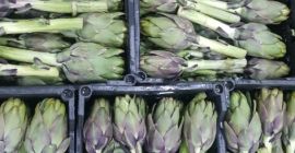 Alcachofa verde fresca de Egipto lista para ser exportada