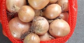 Compro una buena cebolla saludable, 4.5+, cantidades de camiones,