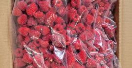 Venderé frambuesas congeladas 95/5%, caja de 10 kg (4