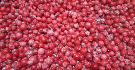 Ofrecemos manzanas de calidad de exportación de las variedades