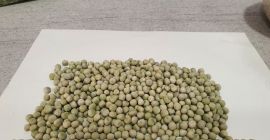 Vendo frijoles, arvejas, avena, garbanzos para siembra y consumo