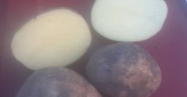 Hola señores voy a comprar patatas 200-250 t/mes. calibre