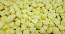 Patatas peladas y envasadas al vacío. Color amarillo, variedades
