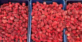 Venderé fresas congeladas. Varios calibres, cantidades muy grandes. Las