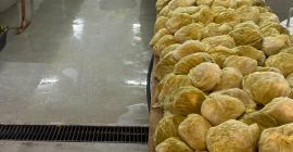 El tamaño de la cabeza es de 1,3 a