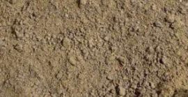 Torta de girasol molida: Proteína 33-35% Fibra 15% Grasa