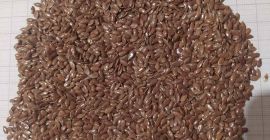 La empresa ofrece a la venta semillas de lino