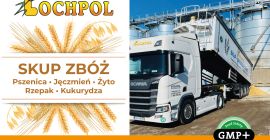 COMPRA TRIGO, CEBADA, TRITIVA, COLZA, MAÍZ. RECOGIDA TODA POLONIA