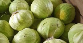 Vendo col blanca, calidad de mercado, calibre de 2