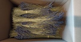 Ramos de lavanda secos palet cantidades. Venderé grandes cantidades
