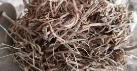 Venta de raíz de valeriana, bien limpia, enjuagada, contenido