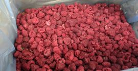 Vendo frambuesa congelada 90/10 - 3,6 eur frambuesa congelada