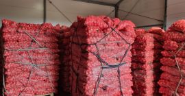 Vendo cebolla calibre 5-7 disponible 75ton