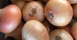 Hola. Venderé cualquier cantidad de cebollas amarillas. Productos disponibles