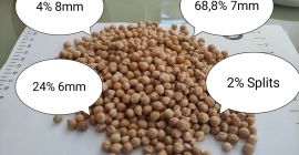 Somos una empresa productora y procesadora agrícola en Bulgaria