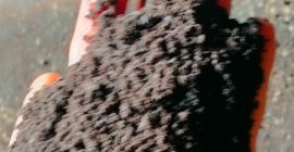 Venderé harina de girasol, Venderé harina de girasol, pastel de girasol, soja y