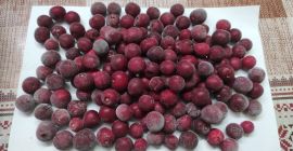 Cerezas deshuesadas ultracongeladas (IQF), en cajas de 10 kg.