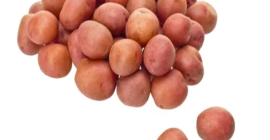 Compre papas irlandesas rojas y amarillas FRESCAS y de