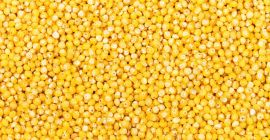 Ofrecemos cereales de producción Ofrecemos cereales de producción propia. - Guisantes amarillos picados