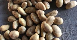 Nuestra empresa trabaja con mucha variedad de frutas y