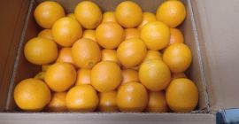Naranja Valencia Marruecos late cat 1 Tipo de embalaje: