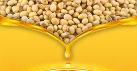 MarculestiCombi SA también ofrece cereales para la exportación: •trigo