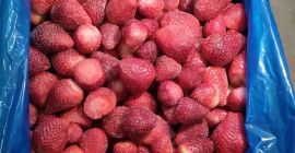 Ofrecemos fresas congeladas, origen Ofrecemos fresas congeladas, origen Egipto, sin calibrar, variedad Festival,
