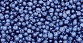 Compre arándanos, cualquier empaque y etiqueta, grandes cantidades disponibles.