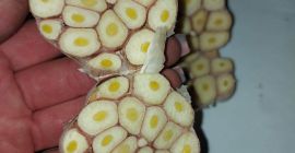 Te ofrecemos el ajo, que es perfecto para encurtir.