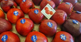 Ofrecemos varios tipos de manzanas y peras, así como