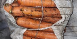 Venderé zanahorias sucias empacadas en bolsas. 100 toneladas disponibles.