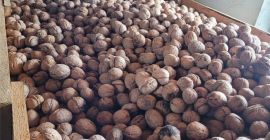 FRUTOS SECOS ORGÁNICOS OBTENIDOS EN LA HUERTA, CERTIFICADOS ECOLÓGICAMENTE