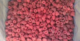 Para más detalles llama al whattsapp +37369204321