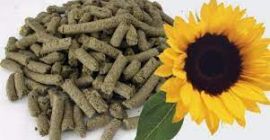 Vendemos con entrega en Europa harina de girasol y