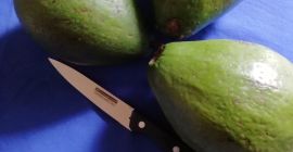 Somos un productor de aguacates frescos en Burundi tipo